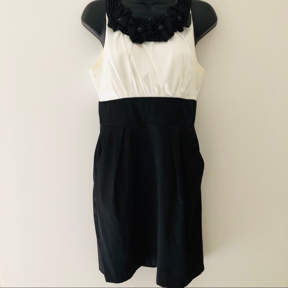 Pencil Skirt Dress Black and White Size 12